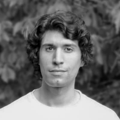 Filippo P. Fantozzi