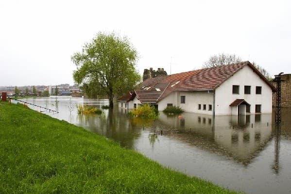 Short Course: Climate Change Litigation 2026