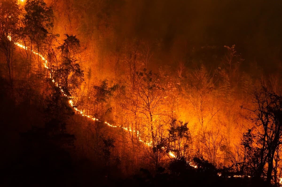 Short Course: Climate Change Law 2026