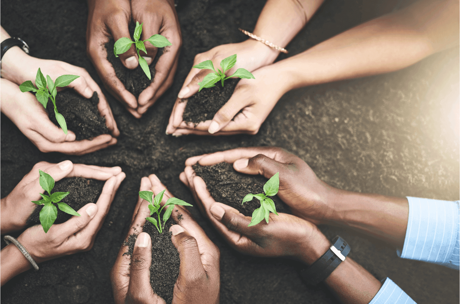 Accelerating Climate Justice: Key Lessons from Roundtables with Experts in Youth-Focused Litigation