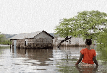 Litigating Climate Change in the Global South