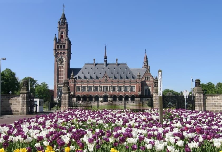 Rapid Response Webinar: Legal Reflections on the ICJ's Climate Advisory Opinion and Beyond