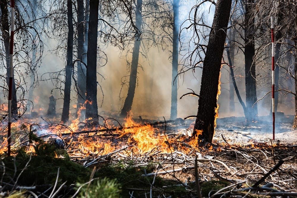 Short Course: Climate Change Law
