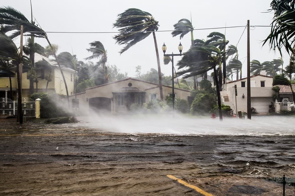Short Course: Climate Change Litigation